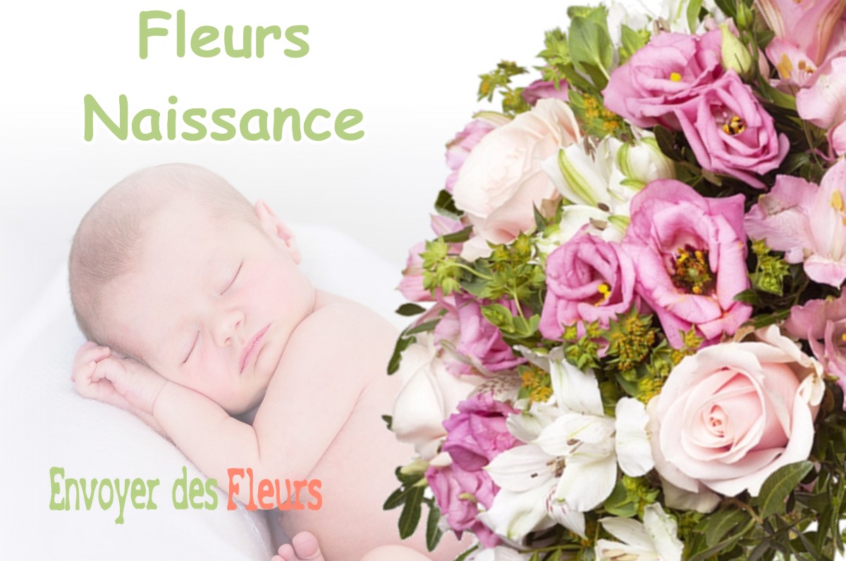 lIVRAISON FLEURS NAISSANCE à LA-BAZOUGE-DE-CHEMERE